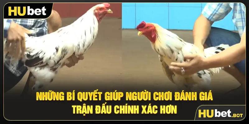 Những bí quyết giúp người chơi đánh giá trận đấu chính xác hơn